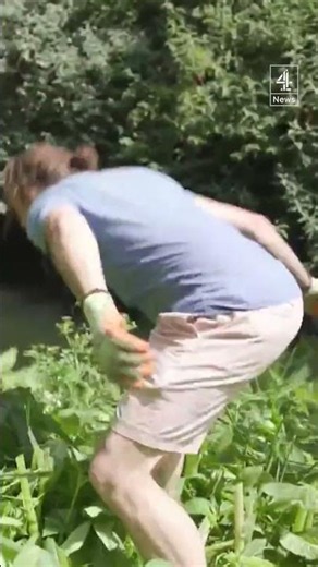 Environment Agency U-turns on threat to prosecute river litter pickers
