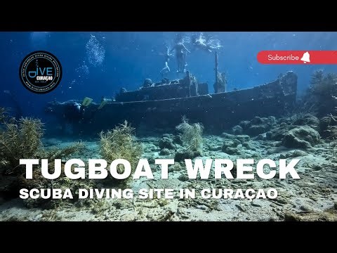 Diving the Tugboat Wreck Dive Site in Curaçao: 4K Scuba Diving at Tugboat Beach