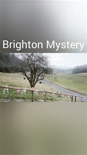 What Was Hidden Inside the Brighton Mystery Files?