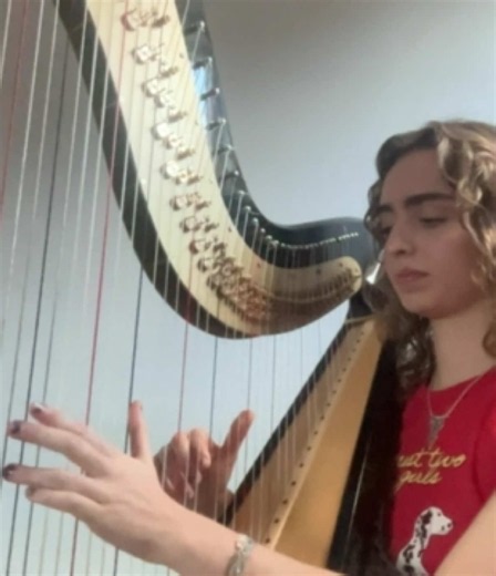 Funky Friday (Dave & Fredo) - Harp Cover | UK Rap x Harp