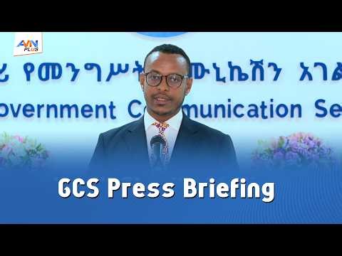 Ethiopia Showcasing Practical Leadership in Pan-Africanism: State Minister