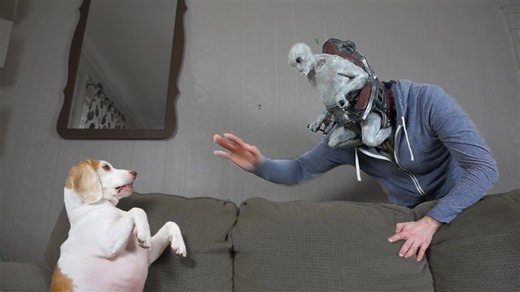 Dog gets tricked by an alien mind-controlled owner