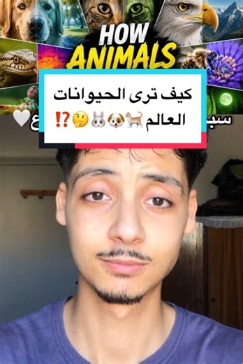How animals see the world — كيف ترى الحيوانات الألوان في العالم