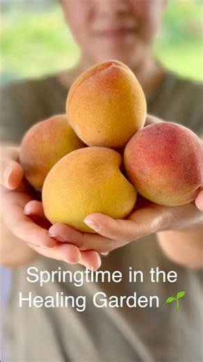 Springtime Garden Moments