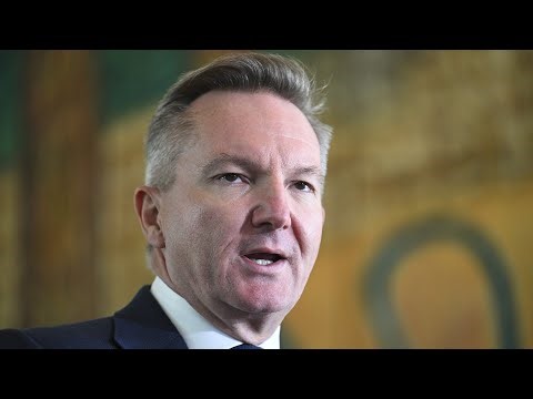 'They need fossil fuels to run': Labor's electric truck ambitions labelled 'arrant nonsense'