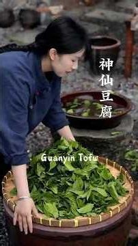 Guanyin Tofu: From Wild Leaves to Jade Jelly 🌿