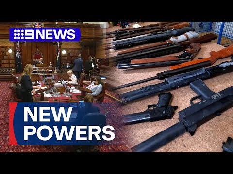 New gun reforms passed following marathon debate | 9 News Australia