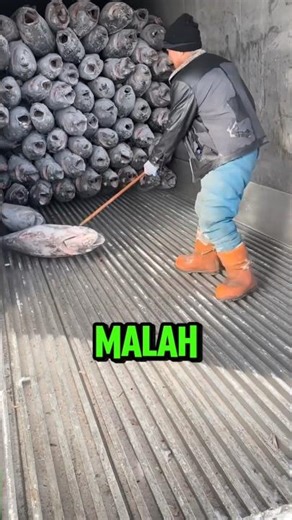 Harus Pakai Trik Bowling Buat Ngeluarin Ikan Dari Setengah Kontainer Tanpa Ketimbun! #shorts