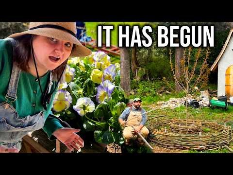 ADDING WHIMSY AROUND THE HOMESTEAD