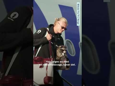 Haaland og udstoppet vaskebjørn stjæler showet ved norsk hjemkomst
