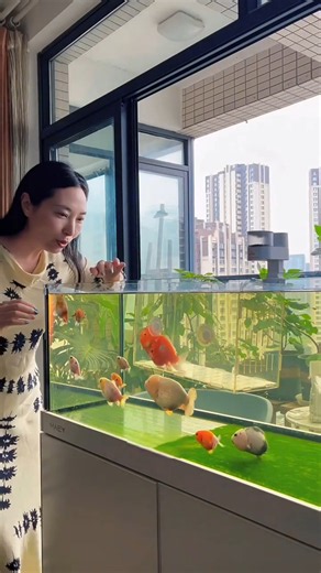 This girl takes care of a pregnant fish she finds in an aquarium. #cat #cats #catvideos