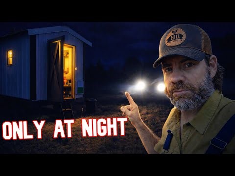 You Never Do This In The Daytime, Only At Night