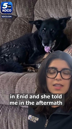 Dog rescued after 44 hours under tornado rubble reunites with owner in Enid, Oklahoma.