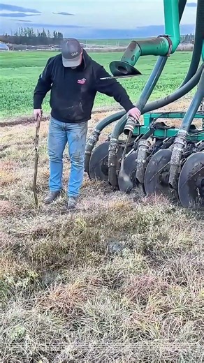 Branching Out for Efficiency: How a Farmer Clears Manure Hose with a Stick