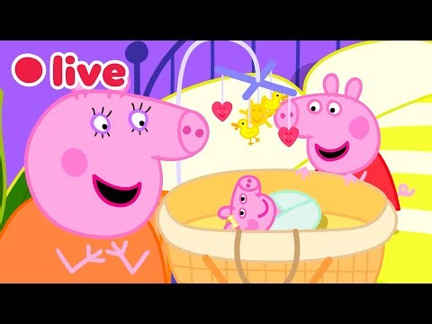 🔴 Peppa Pig BEBÊ EVIE Episódios AO VIVO 🍼 Melhores Momentos da Evie 💛 Desenhos Infantis