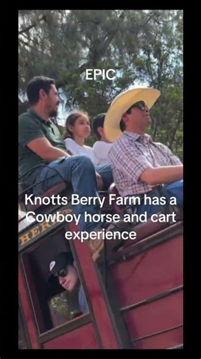 Knotts Berry Farm Horse and Cart Experience