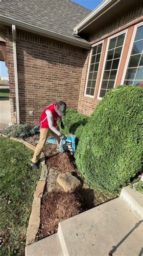 Got the beds cleaned out, mulched, and treated. ‪@TrueValueHardware‬ #TrueValuePartner #SBMowing #ad