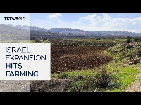 Israeli settlement expansion disrupts Palestinian farming
