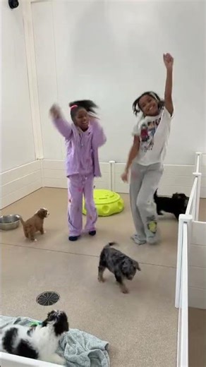 The puppies 😩🤣🤣 #shorts #greysworld