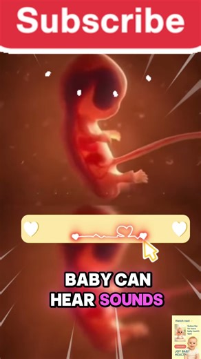 Pregnancy Week by Week: How Your Baby Grows Inside the Womb