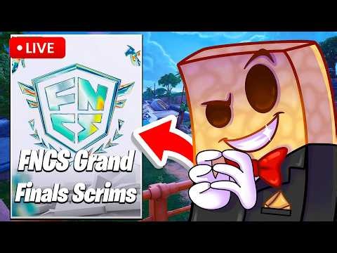🔴LIVE - FNCS GRANDS SCRIMS (Fortnite)