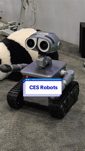 CES 2026 was full of robots on the show floor, especially ones that are engineered to be companions powered by AI. Verge news editor Dominic Preston interacted with many this week and shares his thoughts on the rising trend of approachable AI companions. #ces2026 #ces #tech #ai #robots
