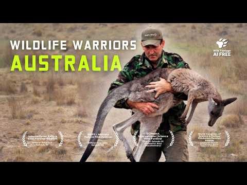 Saving Koalas and Kangaroos - Australia’s Wildlife Heroes | 4K Nature Documentary