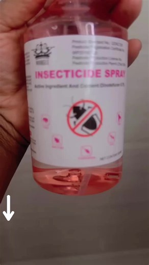 How to Get Rid of Cockroaches Fast: Effective Home Tips