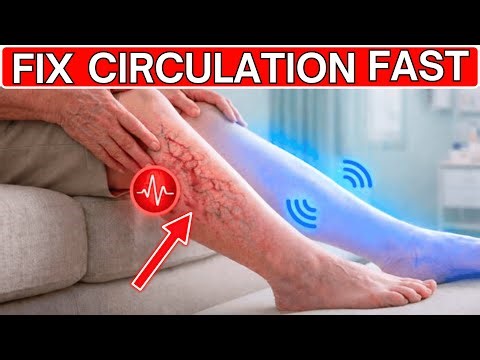 Bad Leg Circulation After 60? Do THESE 3 Exercises Daily (2026 Doctor Update) |Senior Wellness Tips