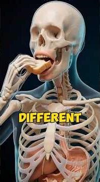 How Bread Turns Into Poop Inside Your Body