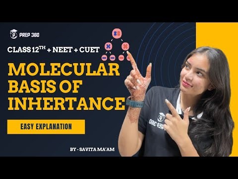 Molecular Basis of Inheritance | Easiest Explanation| Class 12 NEET CUET | PREP360