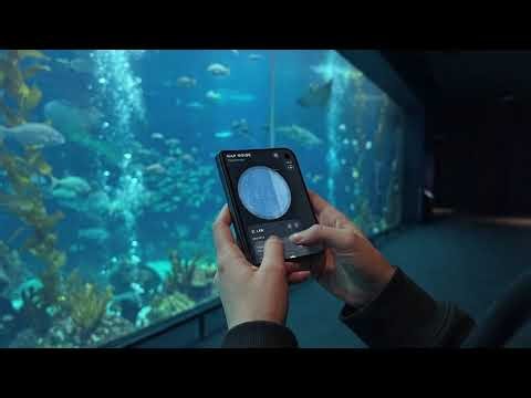Building a Soundscapes App in Xcode 27.1 | Testing on iPhone Duo & Device Hub #iPhoneDuo