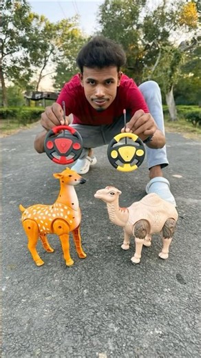 Puran 1 ta Rc Camel and Remote wla Deer Unboxing