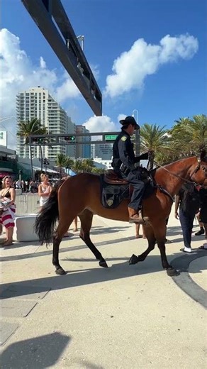 🇺🇸 Fort Lauderdale Beach Spring Break, USA #shorts