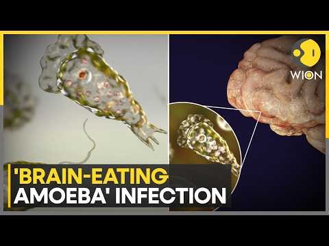 8-Year-Old Dies From Brain-Eating Amoeba | WION News