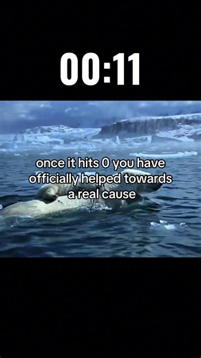 help by spreading awareness of the dangers of climate change🫶🌍#climatechange #globalwarming #savetheearth #icemelting #awareness
