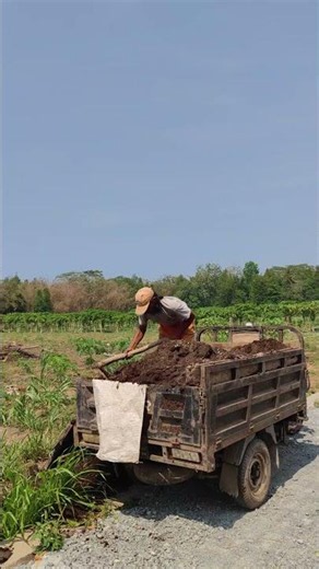 Simple technique for unloading planting media -Agriculture farming #shorts