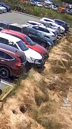 Will the insurance pay for these claims?🙏🏼🙏🏼🙏🏼