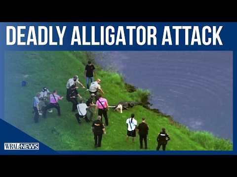 Deadly alligator attack in Florida