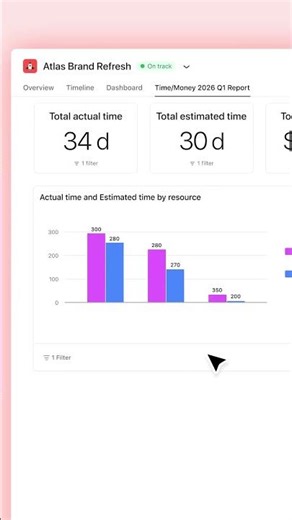 Asana Timesheets and Budgets 🚀