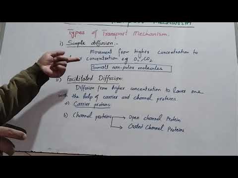🔬 Mechanisms of Transport in Cells | Diffusion & Facilitated Diffusion | Class XI Biology (FBISE)