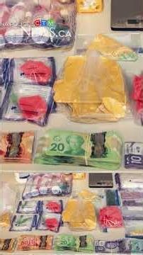 Saskatchewan NDP say gov’t needs to address addiction crisis in Regina