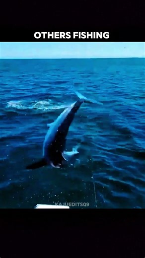 Others Fishing Vs This One Fish 🔝