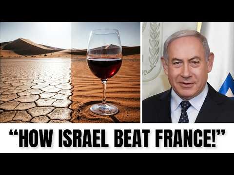 How Israel’s Desert Wine Just Beat France