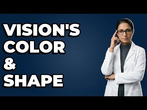 How Does Area V4 Specialize In Visual Form?