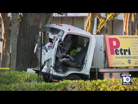 Woman extricated from pest control truck after it crashes into tree in Fort Lauderdale