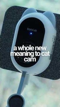 A cat-shaped security camera! 🐱 #botslab #securitycamera #smarthome