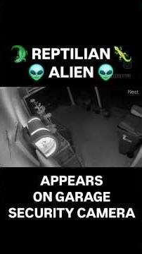 Reptilian Alien spotted on My Garage ADT Security Camera in Melbourne, Florida