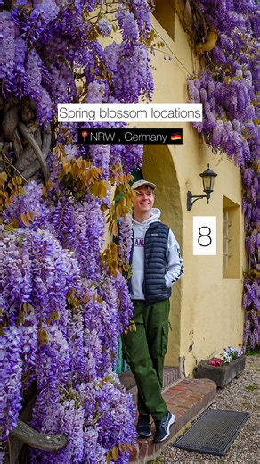 James Haskins | European travel tips & inspiration on Instagram: "8 blossom locations in NRW, Germany-SAVE these hidden spring blossom locations across North-Rhine Westphalia for the upcoming spring season. 🩵 Want to discover the best secret spring locations in Germany? 🇩🇪 From cherry blossom to tulips & wisteria, there are many different blossoming seasons you won’t want to miss in 2026. SAVE this guide and the following 8 locations for this spring in North Rhine Westphalia, Germany - all of