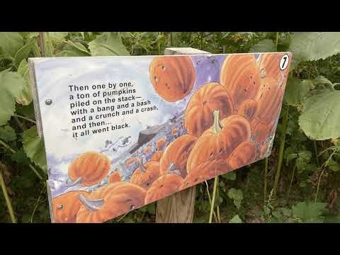 Spookley the Square Pumpkin read aloud